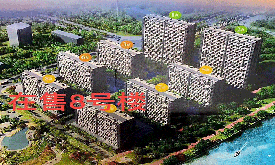 琉金岁月